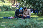 Tehran universitetində ƏRƏFƏ duası