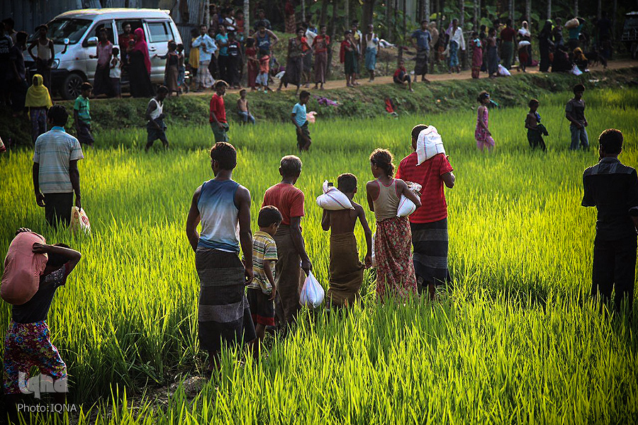 Rohingya Refugees Stranded on Myanmar, Bangladesh Border