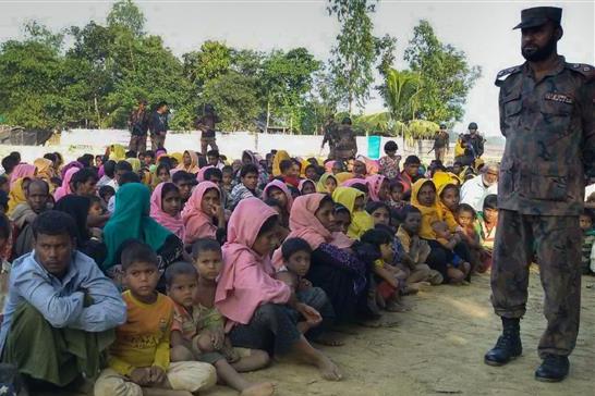 فرار 50 هزار مسلمانان روهینگیا از میانمار به بنگلادش