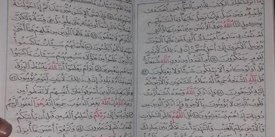 جوان مصری دومین قرآن را هم دست‌نویسی کرد + عکس