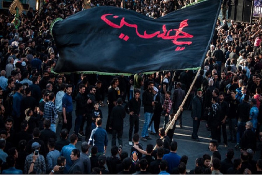 پشم فروش پشم فروش