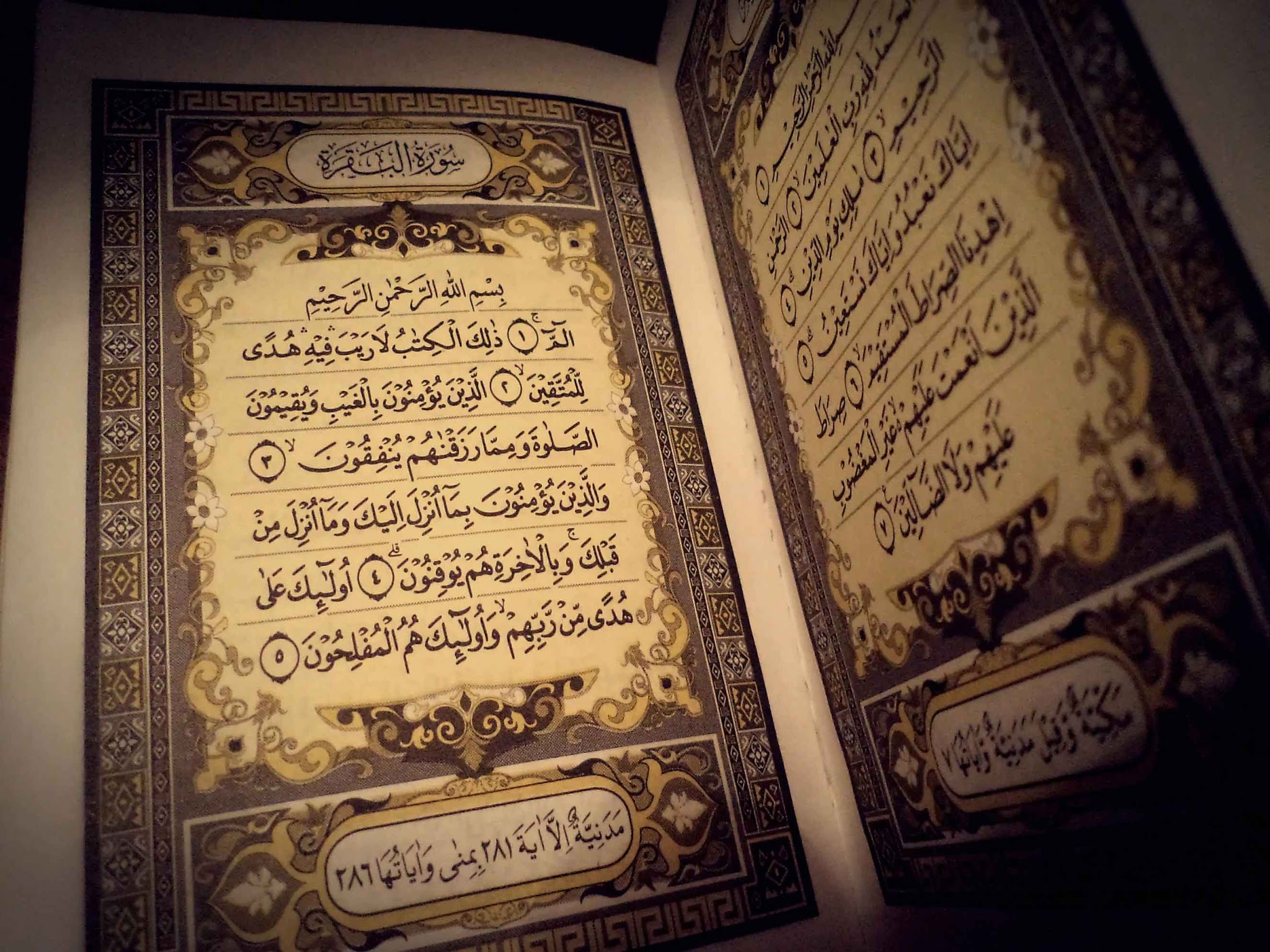La Luce del Corano-Esegesi del Sacro Corano,vol 1Parte 2 - Sura Al-Bagharah