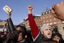丹麦首相对亵渎《古兰经》事件做出反应