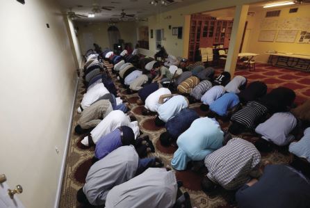Anonymous Donor Gifts Prayer Rugs to University of Georgia Muslim Student Association