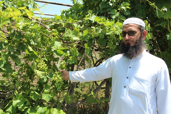 Quran Garden in Pakistan’s Peshawar