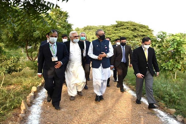 Karachi’s ‘Islamic Garden’ Features 22 Plants Mentioned in Quran  