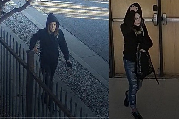 New Mexico mosque arsonist