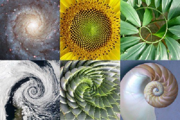 Quran's scientific miracles