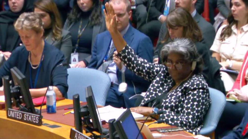 US Votes UNSC Resolution Demanding Humanitarian Pause in Gaza