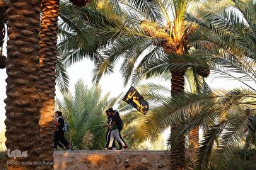 Arbaeen 2023: Pilgrims Heading Karbala Through Picturesque Path