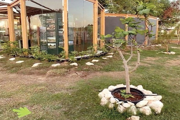 Quranic botanical garden