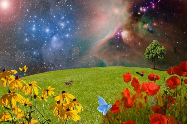 Angels asking God about creation of man