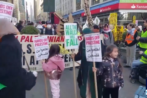 Pro-Palestine demonstration in New York