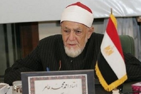Ahmed Mohamed Amer
