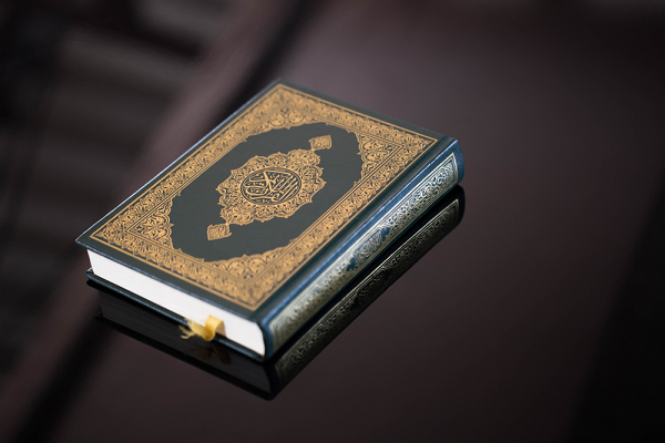 Perpetrator of Quran Burning in Volgograd Apologizes to Muslims