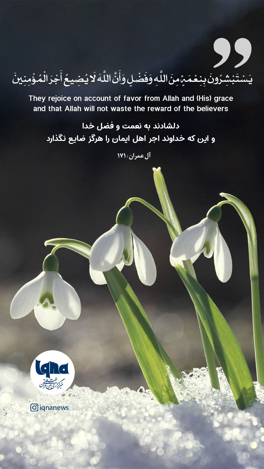 Poster: Believers Rejoice Allah’s Blessing
