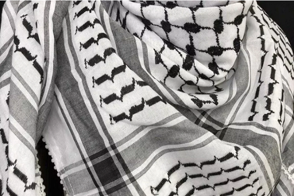 A woman wearing a keffiyeh (Palestinian head scarf)