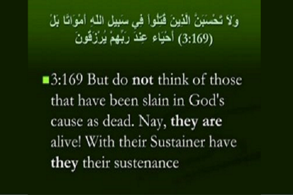 Verse 169 of Surah Al Imran
