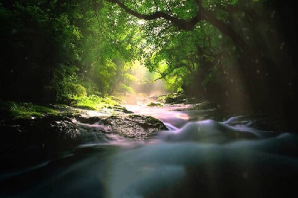 Rivers of Paradise