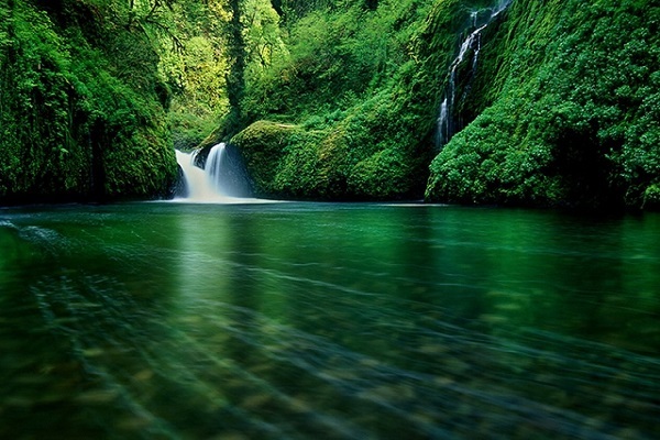 Rivers of Paradise