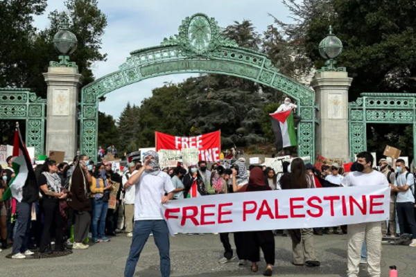 A pro-Palestine rally in the US