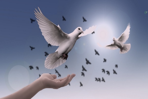 Islam stresses importance of peace