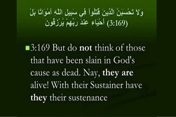 Verse 169 of Surah Al Imran