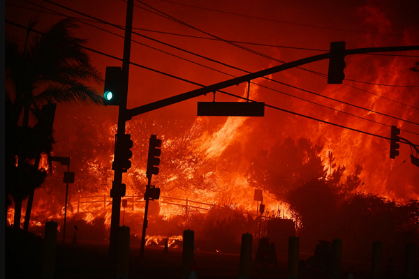 Oman Mufti’s View on LA Wildfires  