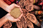 Society’s Right to Natural Wealth; Axis of Cooperation