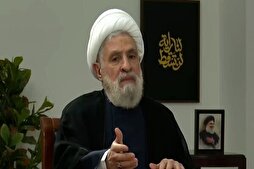 Sheikh Qassem Stresses Lebanese Groups’ Support for Resistance  