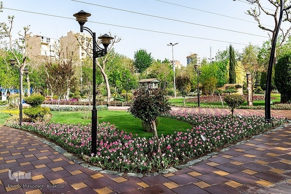 8th Tulip Festival in Karaj