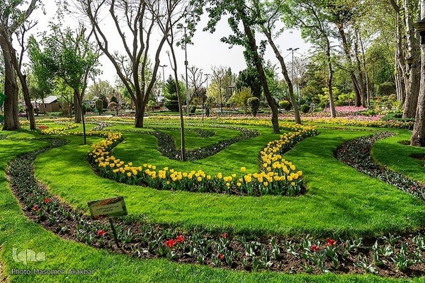 8th Tulip Festival in Karaj