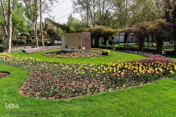 8th Tulip Festival in Karaj