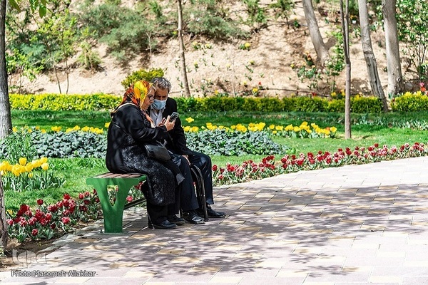 8th Tulip Festival in Karaj