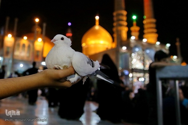 Holy Shrine of Hazrat Masoumeh (SA) in Qom 