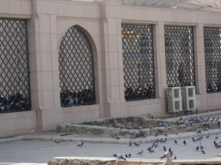 مزار ام‌البنین(س) در قبرستان بقیع + عکس