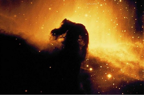 حساب کردن سود و زیان واقعی، انسان را از گناه بازمی‌دارد