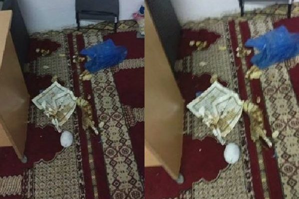 برگزاری تظاهرات اعتراض‌آمیز در هتک حرمت مساجد کازبلانکا