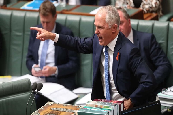 حمایت نخست وزیر استرالیا از سناتور اسلام‌ستیز /آماده