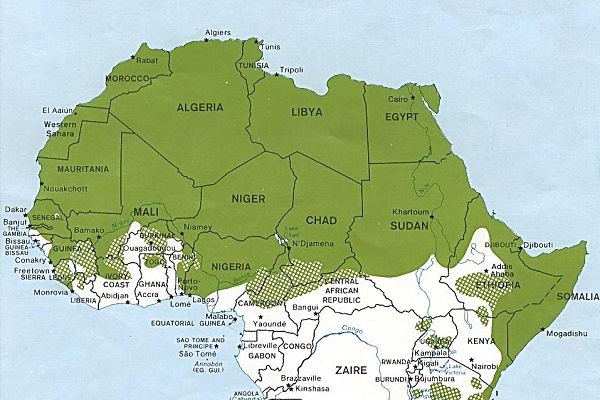 بررسی اوضاع مسلمانان شمال آفریقا