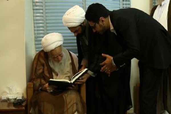 دیدار نو نهالان قرآنی عراق با آیت‌لله صافی‌گلپایگانی