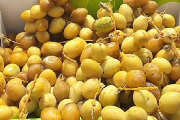 تجربه سفر به مکه و مدینه در ماه رمضان / گزارش/ انگلیسی