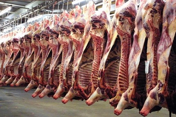 صدور مجوز ذبح اسلامی توسط دیوان دادگستری اروپا