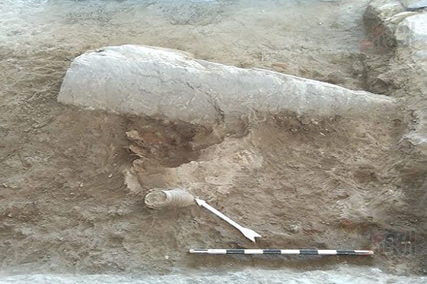 انتشار اولین تصاویر از کشف مجسمه ابوالهول انتشار اولین تصاویر از کشف مجسمه ابوالهول