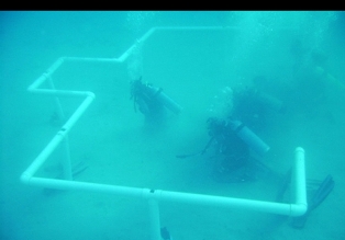 از روزی جهانی برای مسجد تا ضرورت پاسداشت این پایگاه