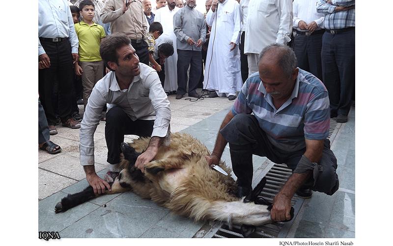 عرفه روز مناجات در مقابل ذات ربوبی/ عبودیت الهی؛ گواراترین ارزش برای انسان