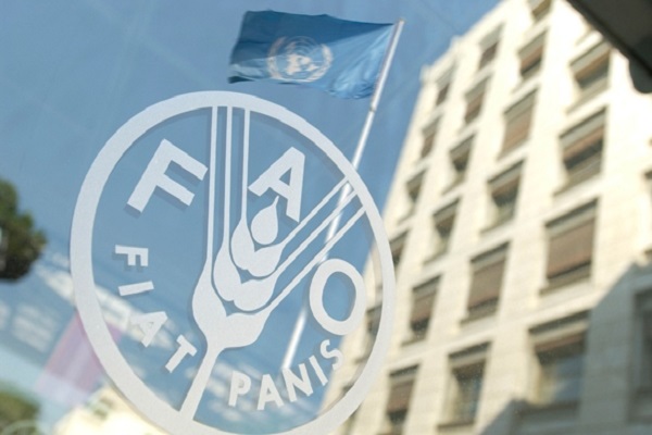 سازمان ملل متحد: هر 5 ثانیه یک کودک از گرسنگی می‌میرد