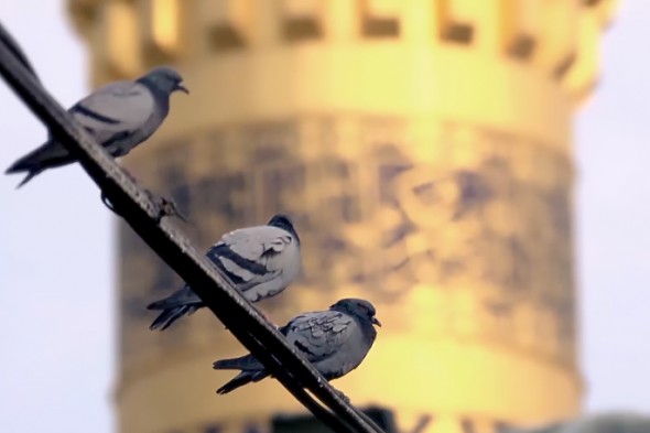 نماهنگ/ عهد سالیانه