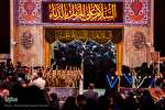 تجلیل از ۱۱ شهید جهان اسلام در حرم سیدالشهدا(ع)