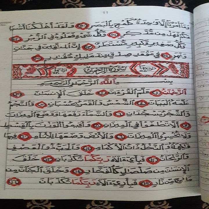 بانوی مصری و عمل به پیشنهاد قرآنی نوه+عکس